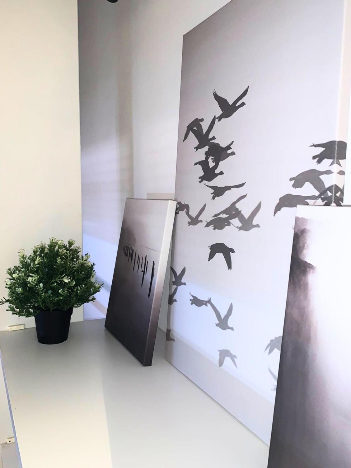 Bellaria Beach Apartments Bagian luar foto